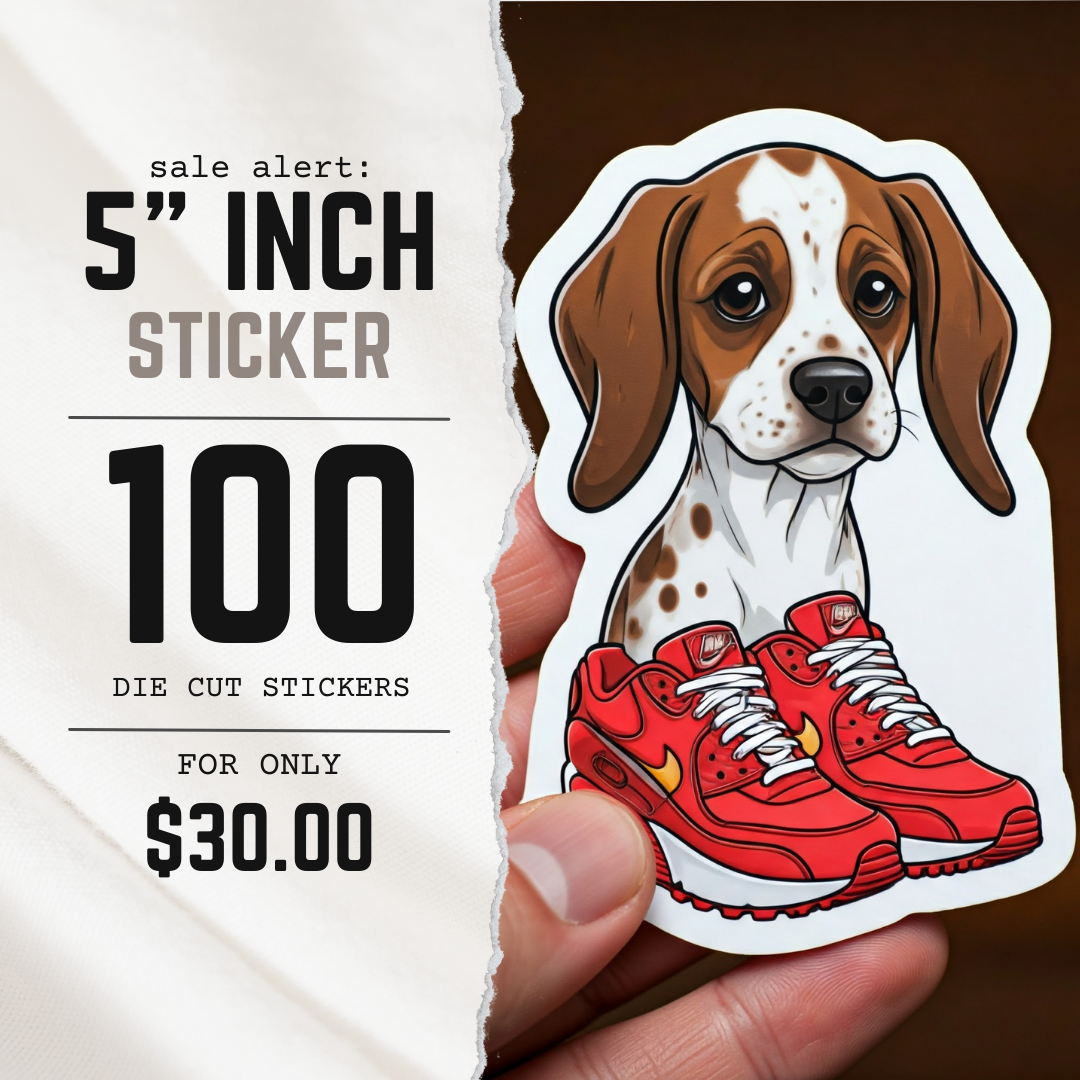 5 inch promo